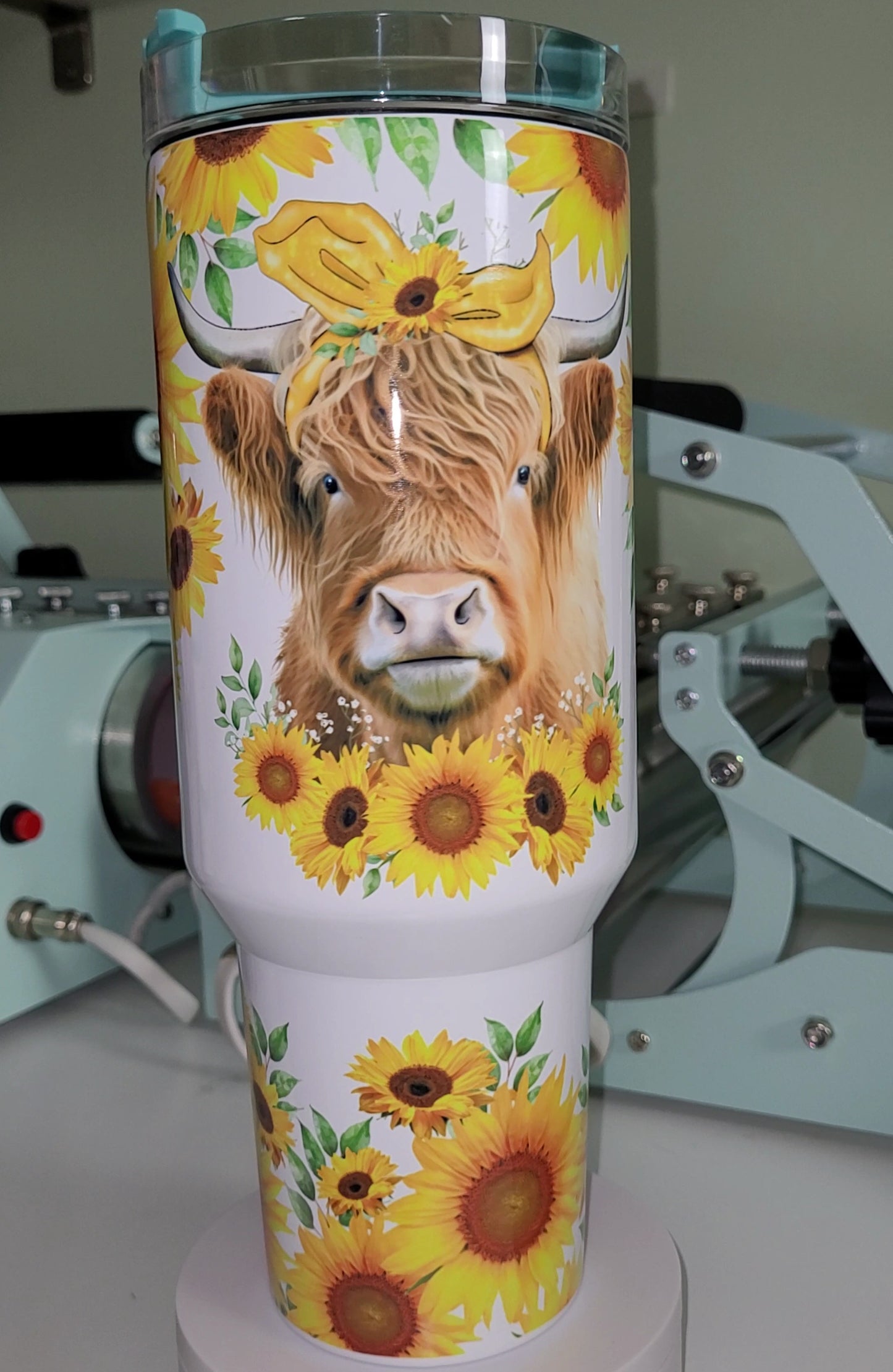 Sunflower Highland Cow